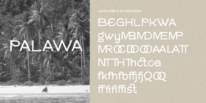 Karteh Font Poster 2