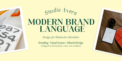 Axerifa Font Poster 7