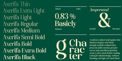Axerifa Font Poster 6
