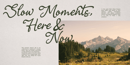 Carlessé Script Font Poster 6