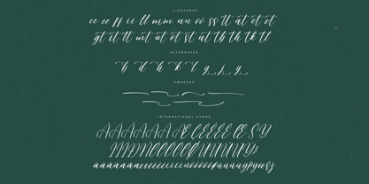 Tropical Exotic Font Poster 8