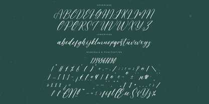 Tropical Exotic Font Poster 7