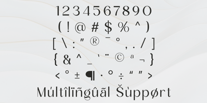 Rekgiva Font Poster 10