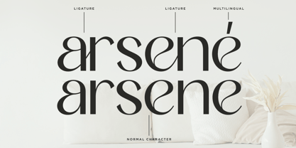 Rekgiva Font Poster 5