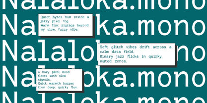 Nalaloka Mono Font Poster 2
