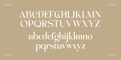 Achroma Editorial Font Poster 5