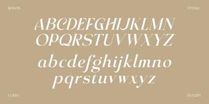 Achroma Editorial Font Poster 9