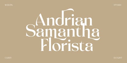 Achroma Editorial Font Poster 4