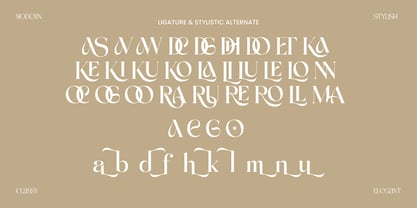 Achroma Editorial Font Poster 7