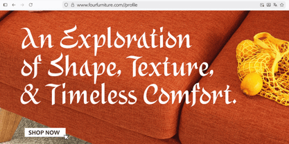 Alidin Font Poster 4