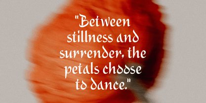 Alidin Font Poster 6