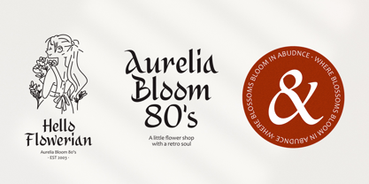 Alidin Font Poster 5