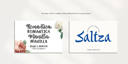 Alidin Font Poster 10