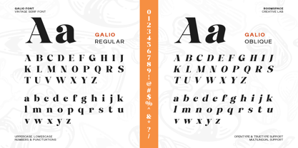 Galio Font Poster 10