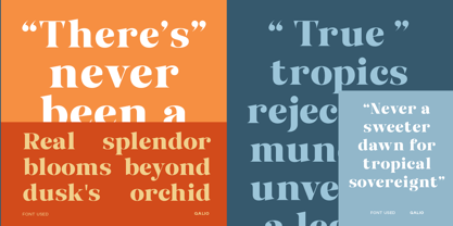 Galio Font Poster 2