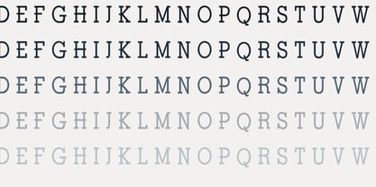 ZP Valentine Drop Cap Font Poster 6