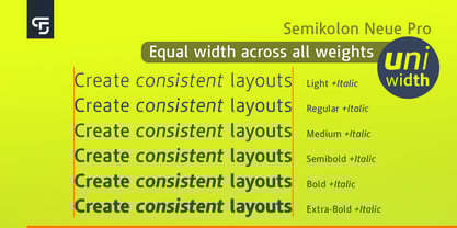 Semikolon Neue Pro Font Poster 5