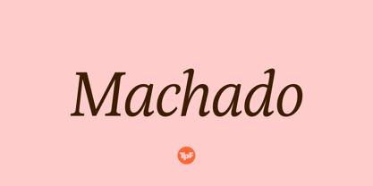Machado Serifada Font Poster 11