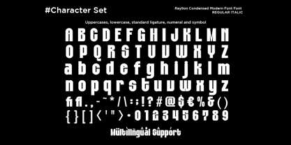 Rayllon Font Poster 10