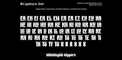 Rayllon Font Poster 11