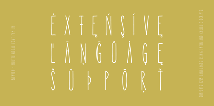 Beaver Font Poster 2