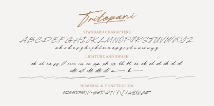 Tritopani Font Poster 10
