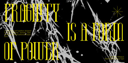 Laverick Fragile Font Poster 3