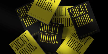 Laverick Fragile Font Poster 8