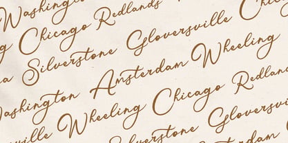 Verified Script Font Poster 4