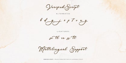Verified Script Font Poster 11