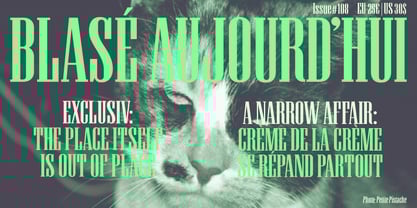 Unicorn Font Poster 5