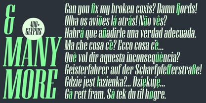 Unicorn Font Poster 3