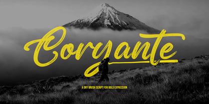 Coryante Script Font Poster 10
