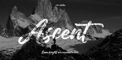 Coryante Script Font Poster 7