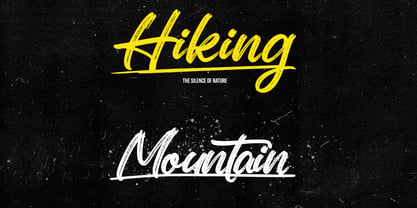 Coryante Script Font Poster 8