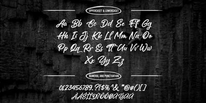 Coryante Script Font Poster 3