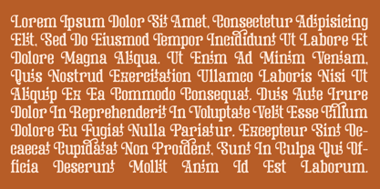 Lilynt Font Poster 8
