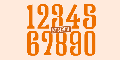Lilynt Font Poster 13