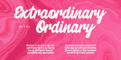 Refinta Font Poster 3