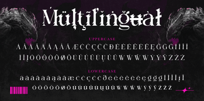 Hotra Font Poster 11