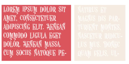 ZP Politely Passionate Font Poster 5