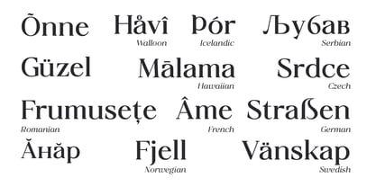 Valore Text Pro Font Poster 8