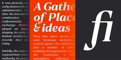 Valore Text Pro Font Poster 11