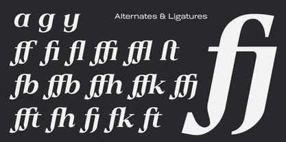 Valore Text Pro Font Poster 2