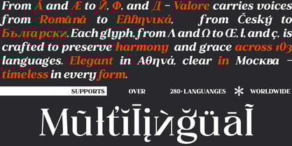 Valore Text Pro Font Poster 10