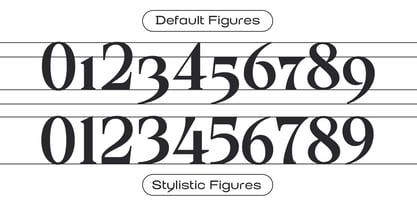 Valore Text Pro Font Poster 5