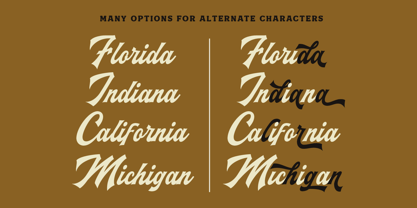 Maltone Font Poster 8