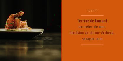 Arany Font Poster 12