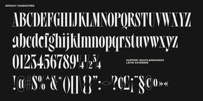 Philyou Display Font Poster 11