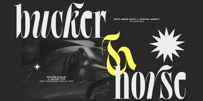 Philyou Display Font Poster 3